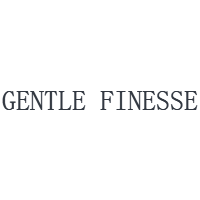 GENTLE FINESSE LTD
